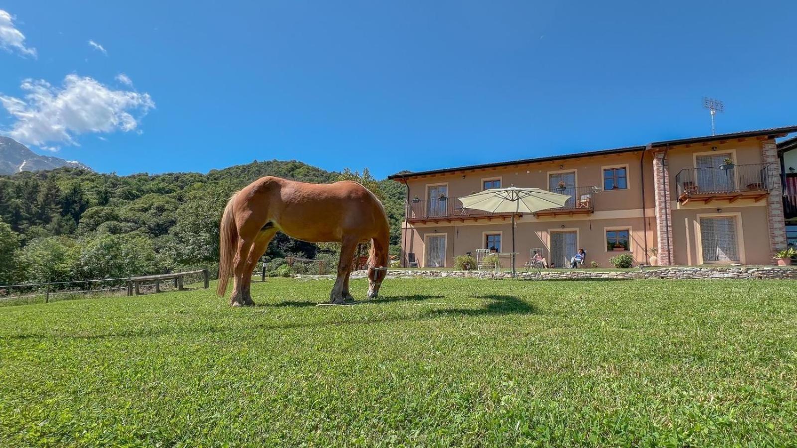 Apartamento Ranch Enbruca Boves Exterior foto